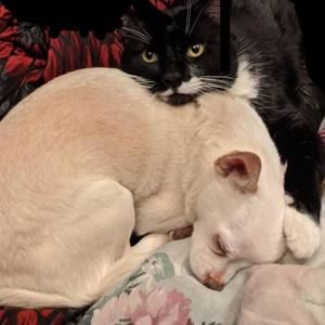 Meet your Posher, Kenny